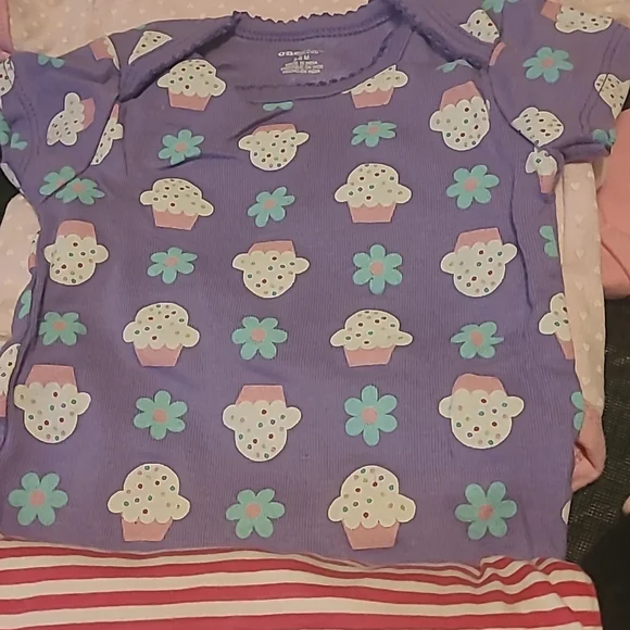 Large Lot of Girl Onesie's 3-6M - Picture 5 of 7